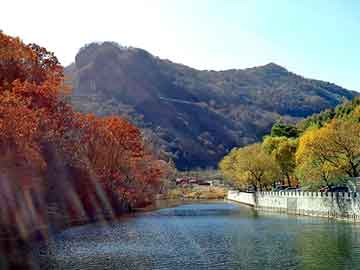 新澳天天开奖资料大全旅游团，城市站群